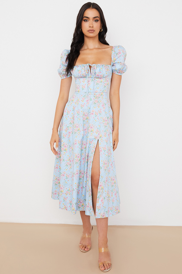 Blue And Pink Vintage Print Midi Elbise