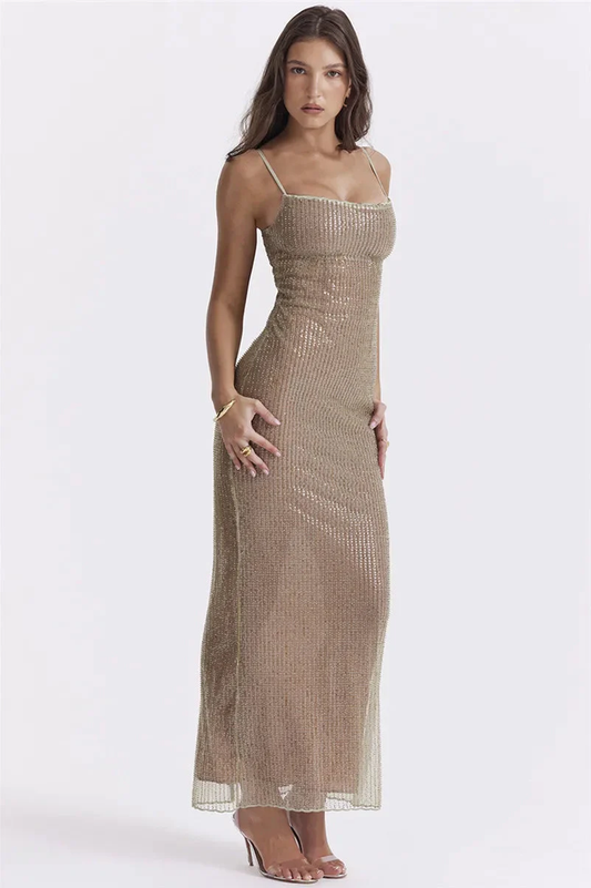 Sparkle Sequined Fit Maxi Elbise